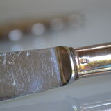 12 metal silver table knives 25 cm