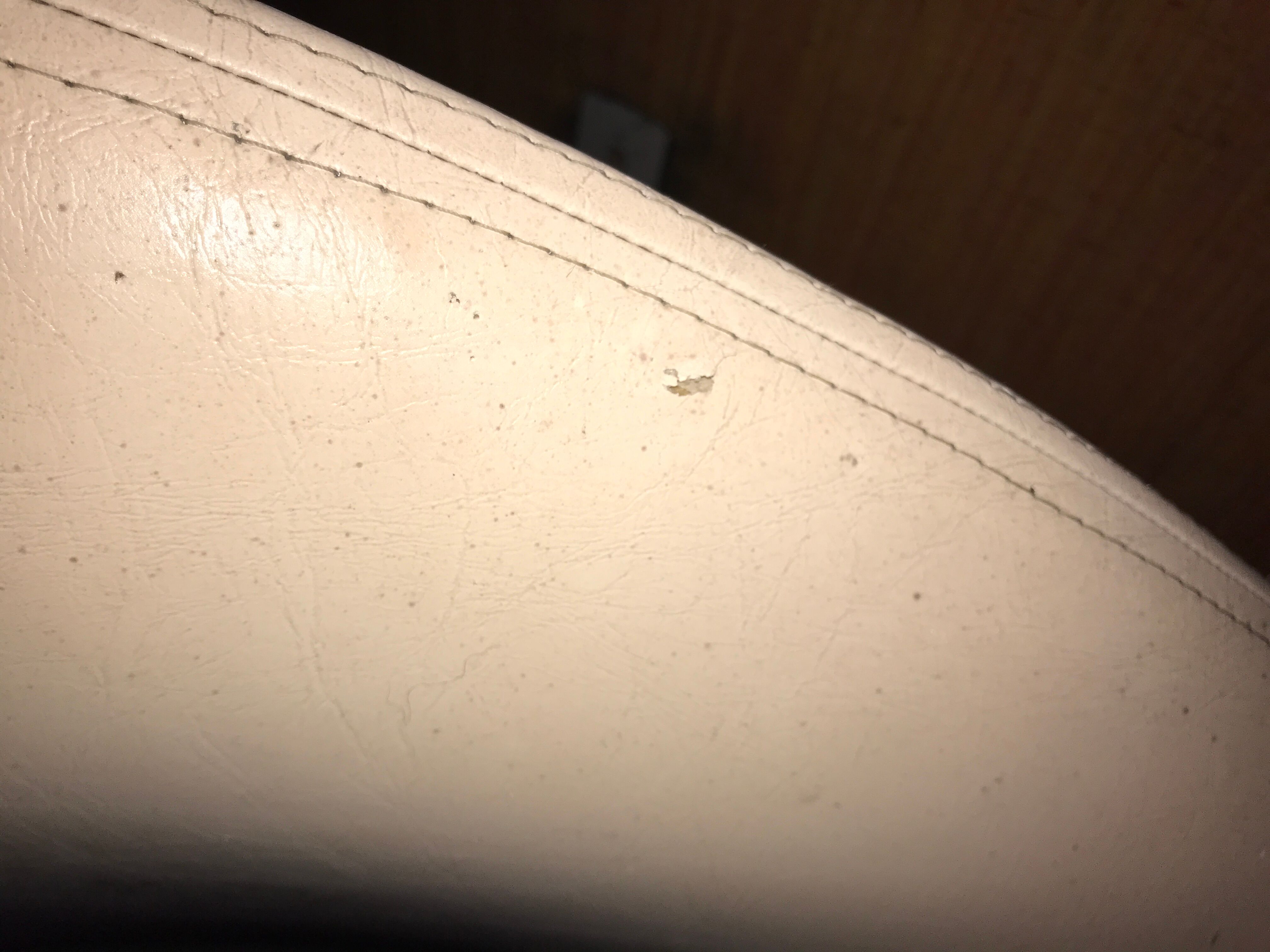 Anemone bed by Bernard Gauvin 1972