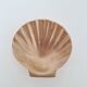 Shell-shaped brass catchall.