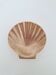 Vide poche coquillage en laiton