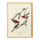 Poster about the Purple Rosefinch, based on an old engraving from 1827.
