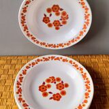 Arcopal Lotus 70s plates