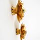 Two beautiful, large, gilt wall lamps, "Water Lily," Italy, 1960s