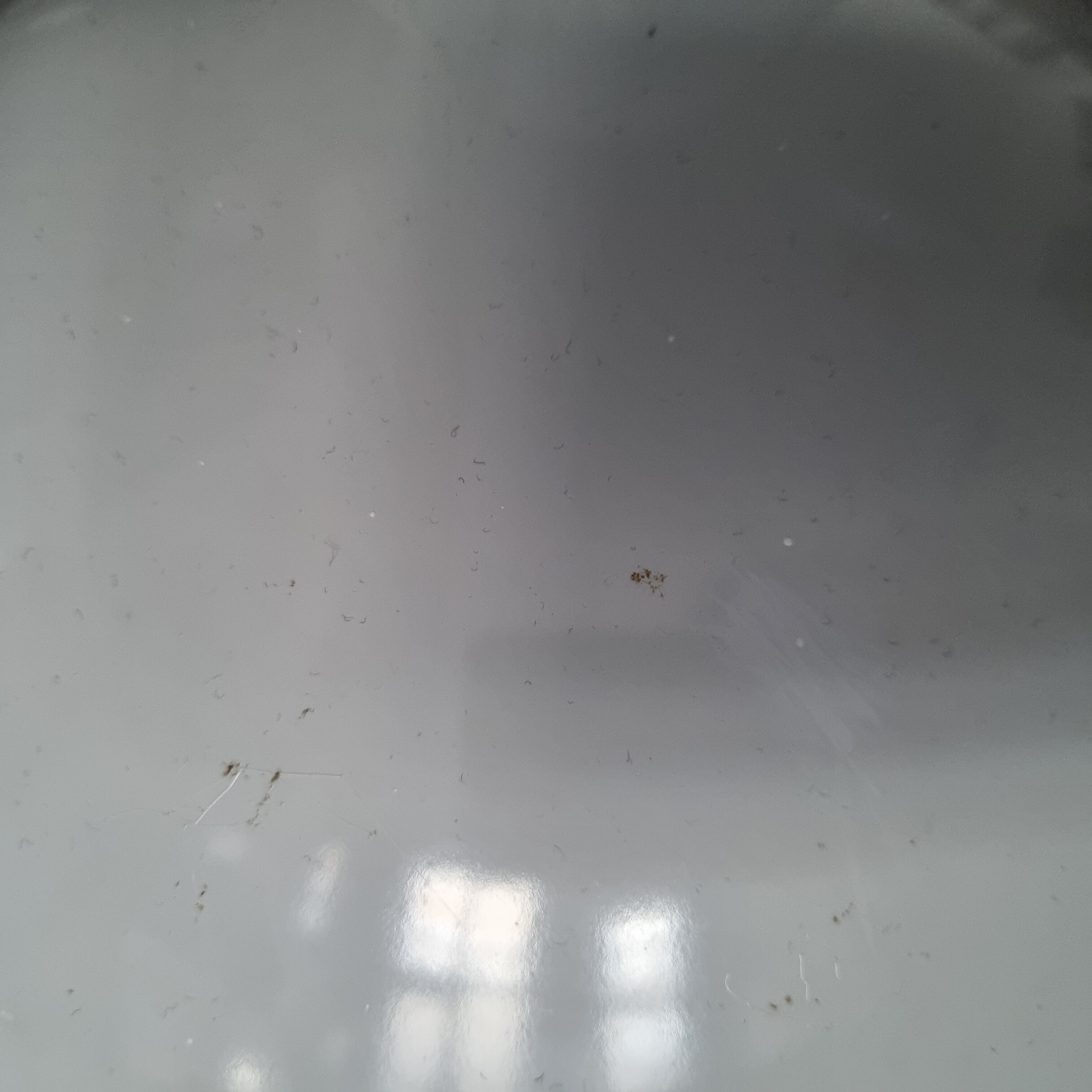 Midi Bunker Pendant Lamp by Johannes Hammerborg for Fog & Mørup, 1970