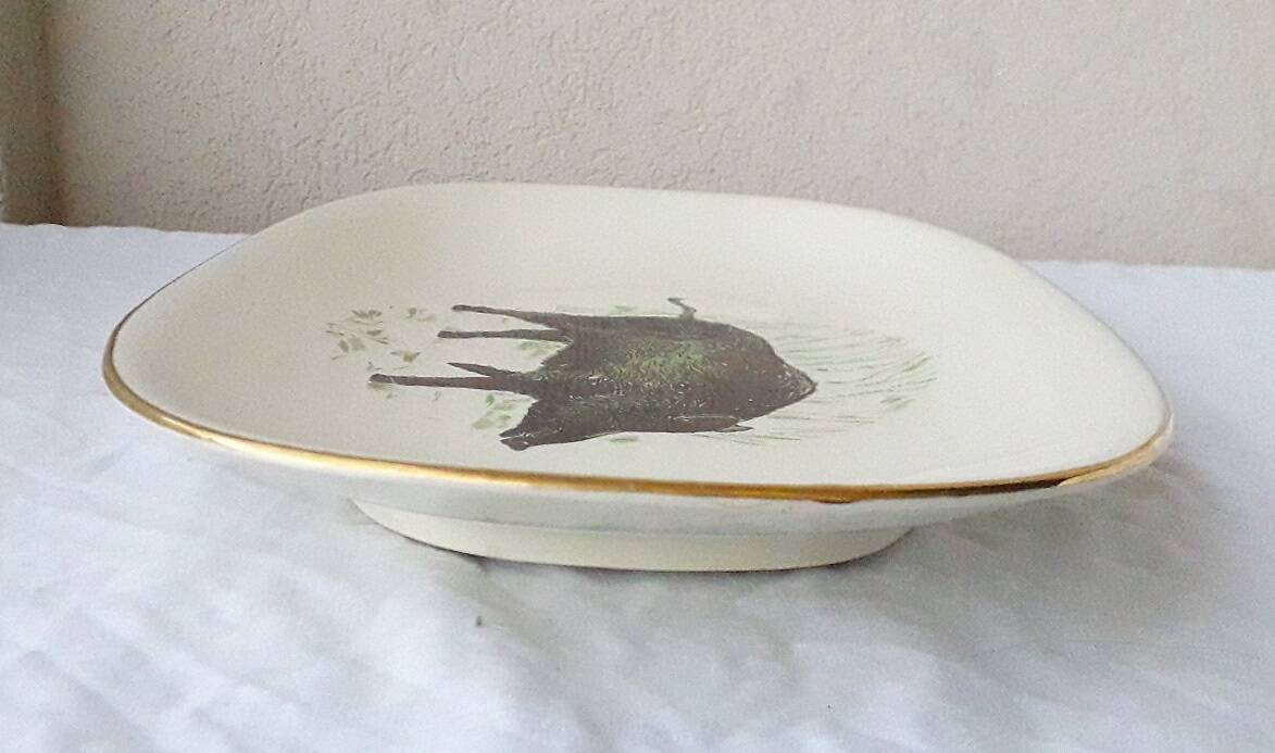 Boar dish