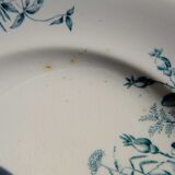 Mignon plates in Longwy earthenware