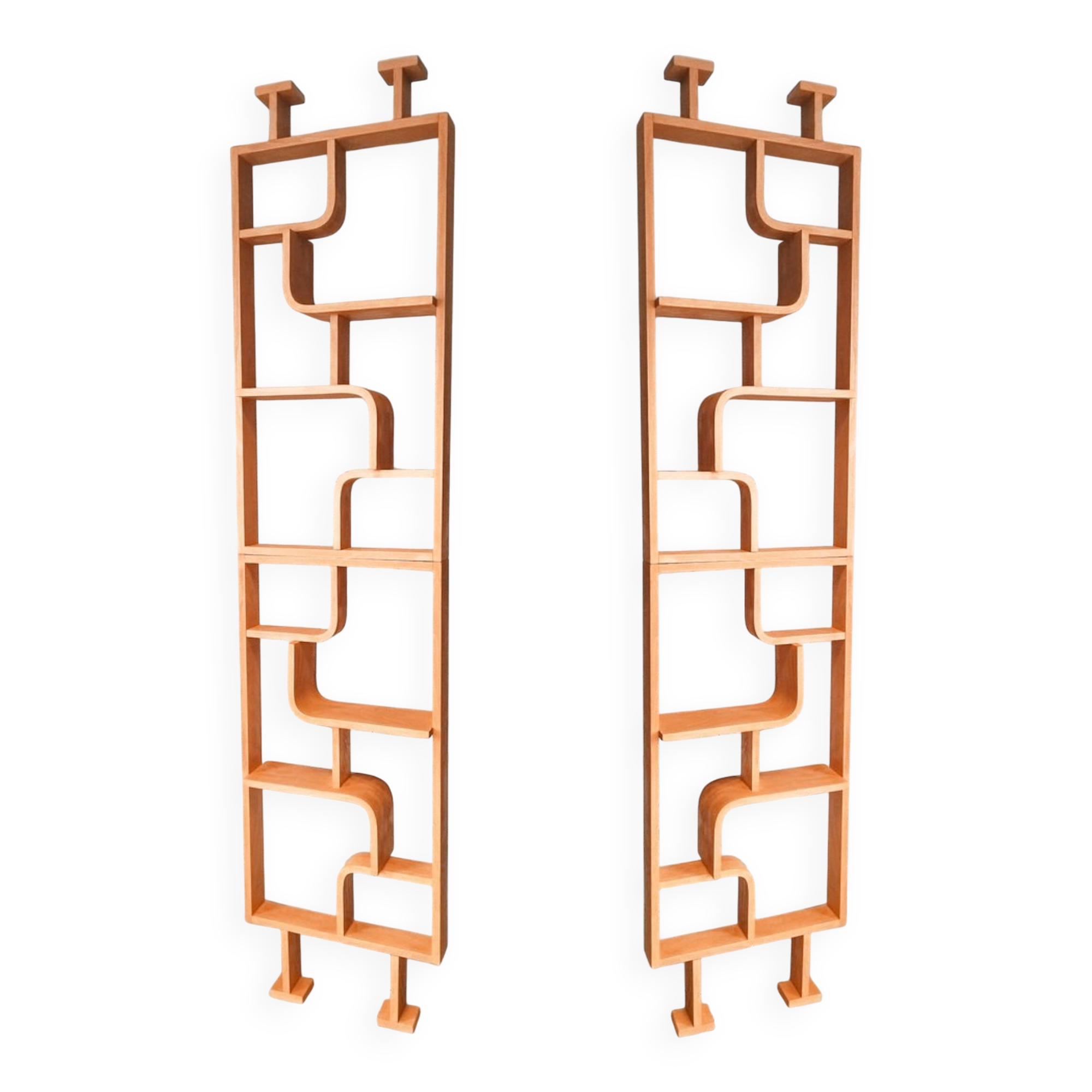 Two screens, partition walls, Volak shelves in bent wood