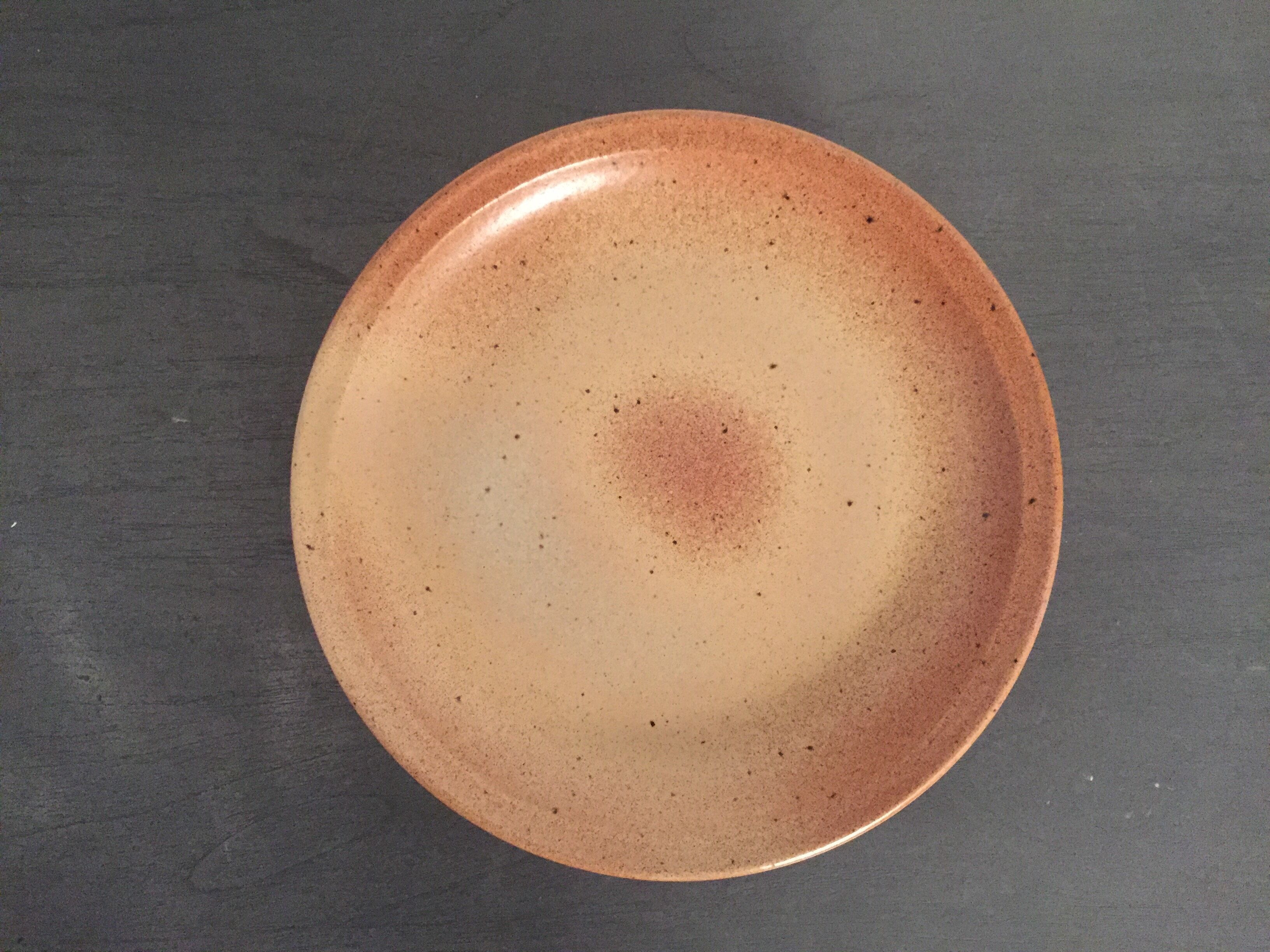 Lot of 9 dinner plates in sandstone "Sarreguemines"