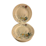 12 old polychrome flat plates Jules Vieillard Bordeaux, 19th century