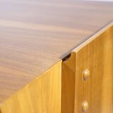 Mid-Century Design Walnut Desk, Germany, 1960s