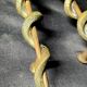 Bronze pharmacy door handles