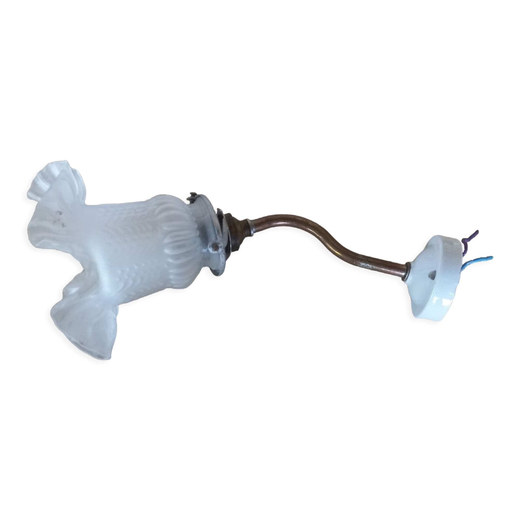 Wall lamp tulip gooseneck