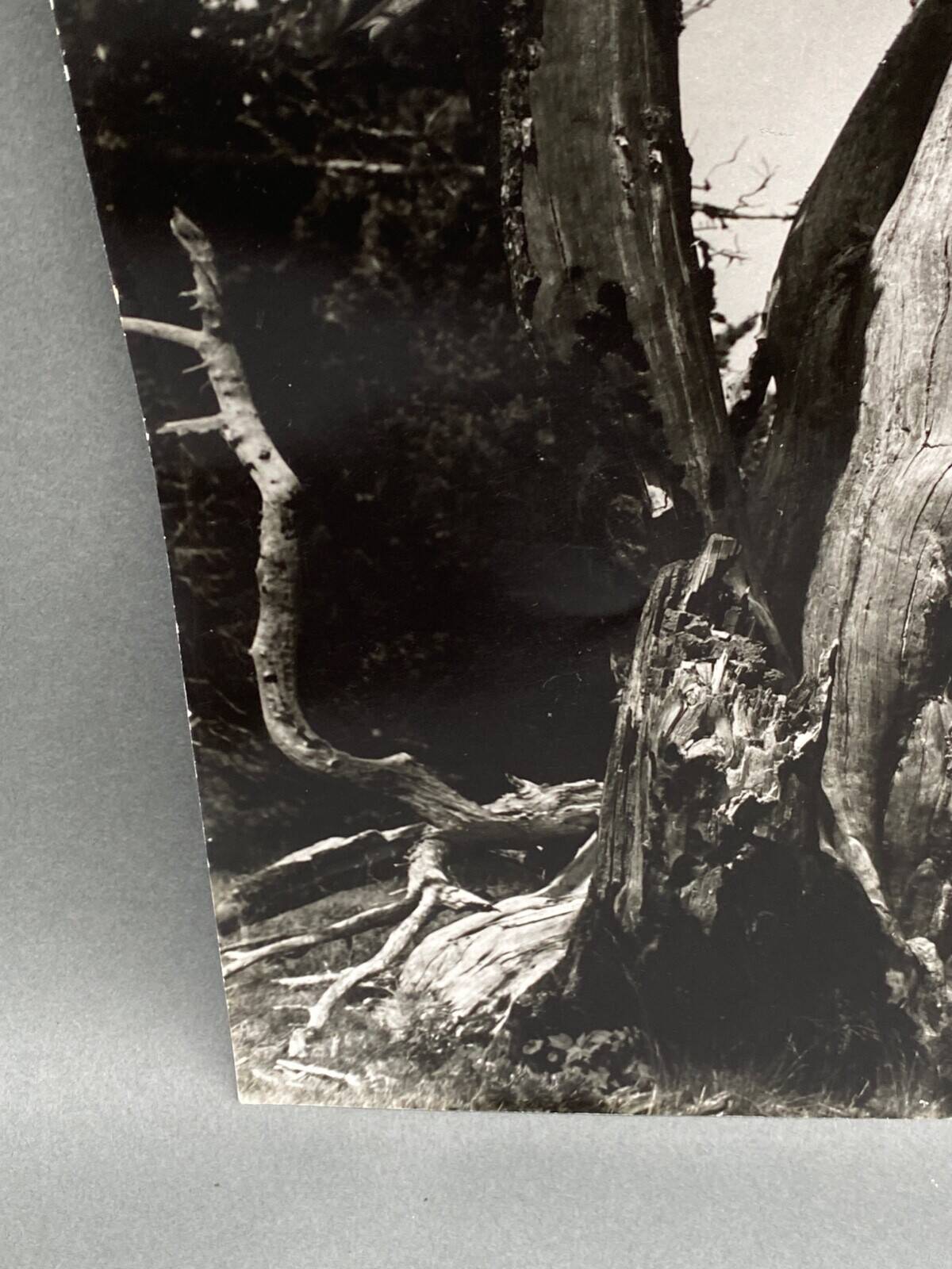 Photographie argentique Bernard Darot Les Vaincus XXe AFIAP