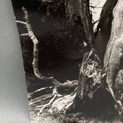 Photographie argentique Bernard Darot Les Vaincus XXe AFIAP