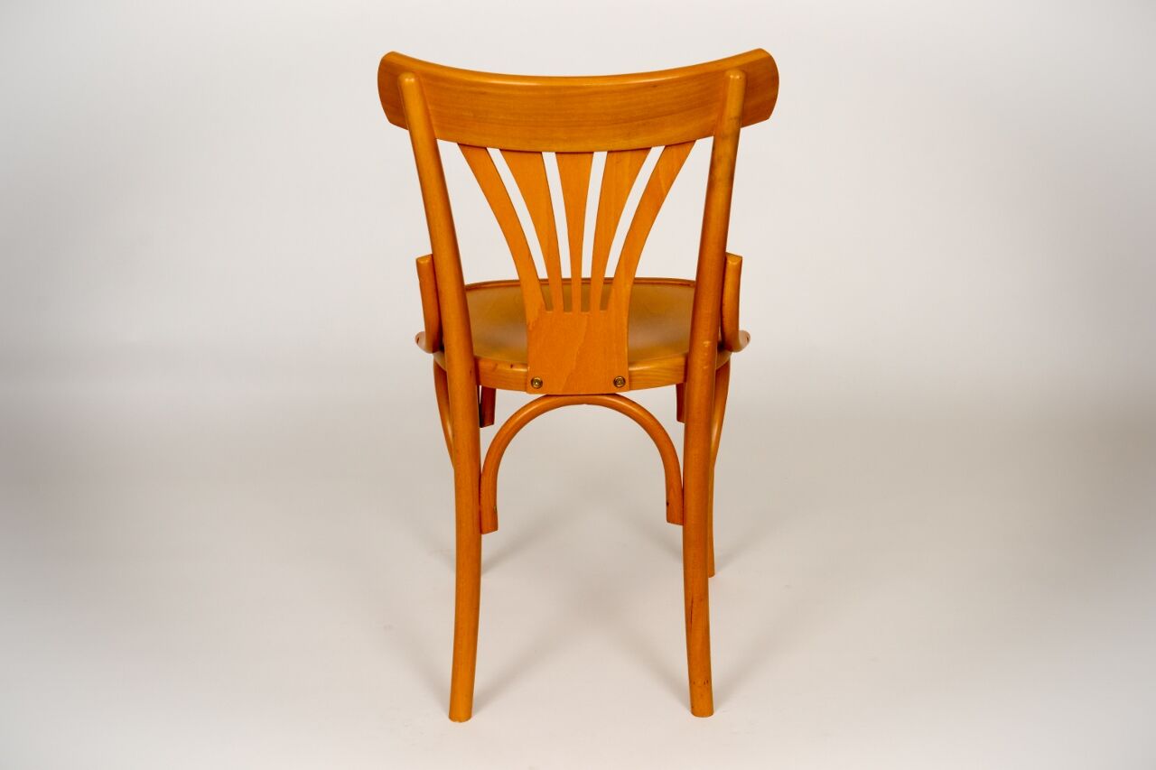 Bistro chair palm tree backrest, natural beech varnished