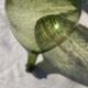 Large French green glass demijohn