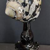 Cabinet of Curiosities shell cittarium pica on pedestal