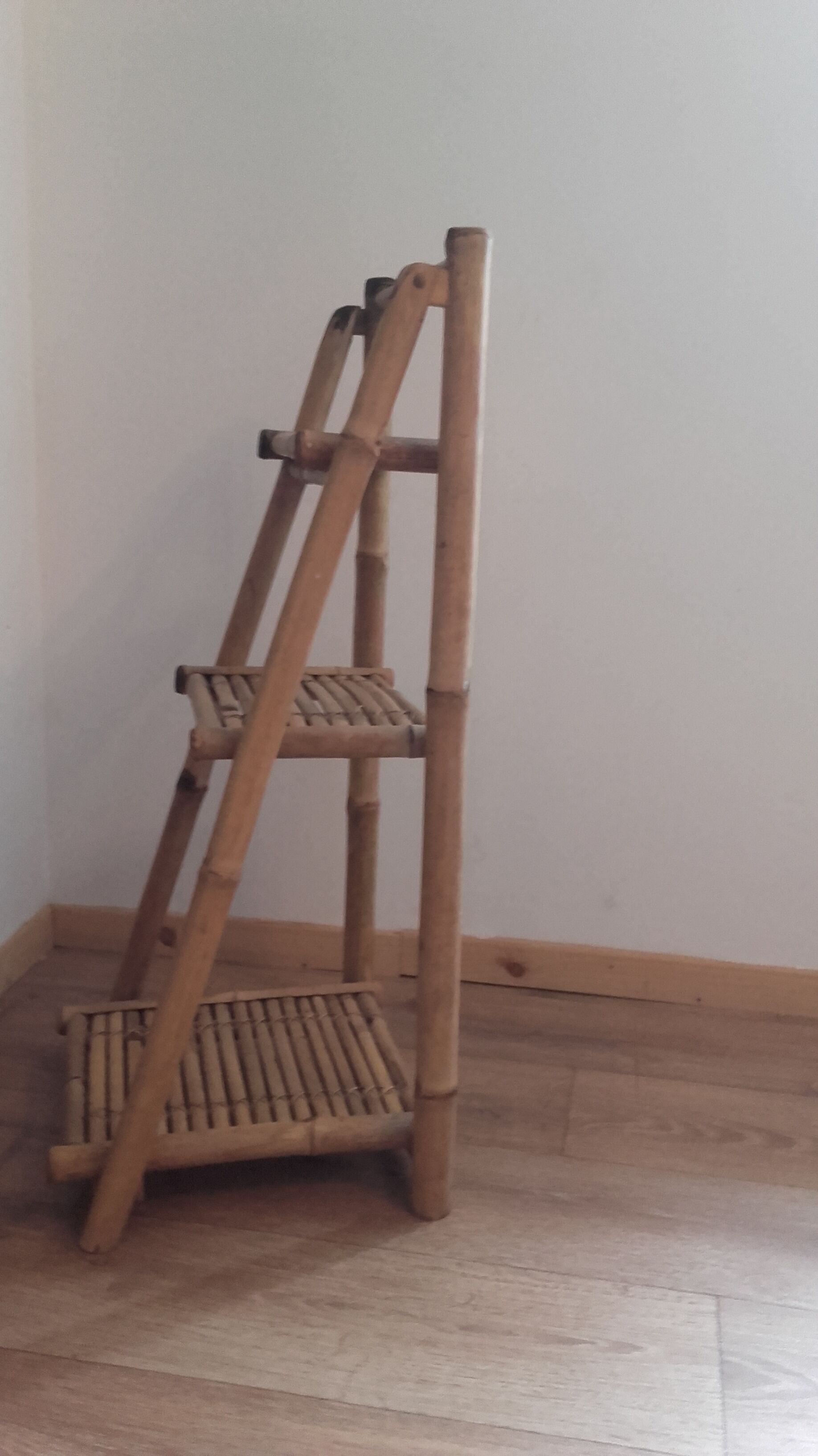 Bamboo ladder shelf
