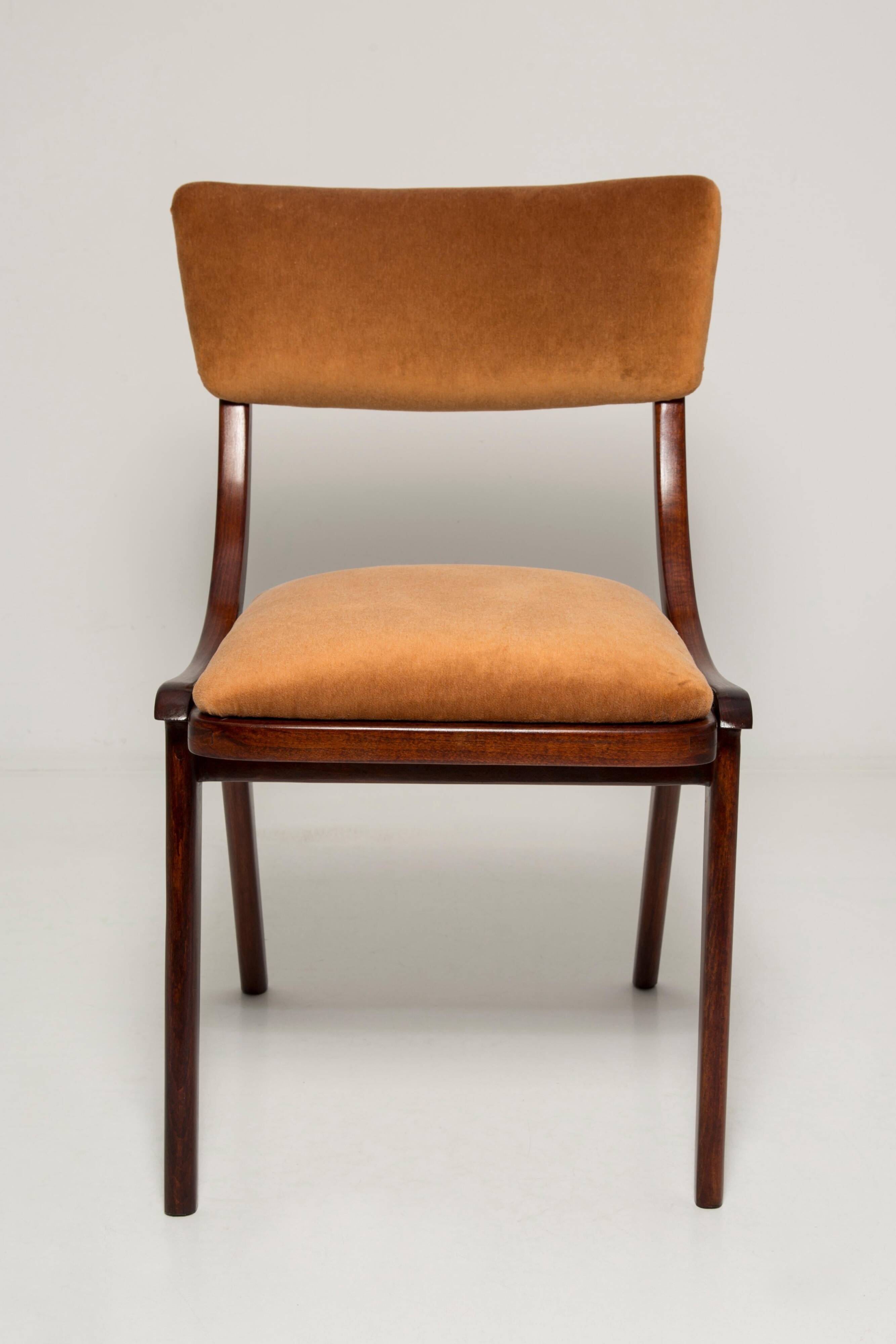 Mid-Century Modern Bumerang Chair, Brown Beige Velvet, Poland, 1960s