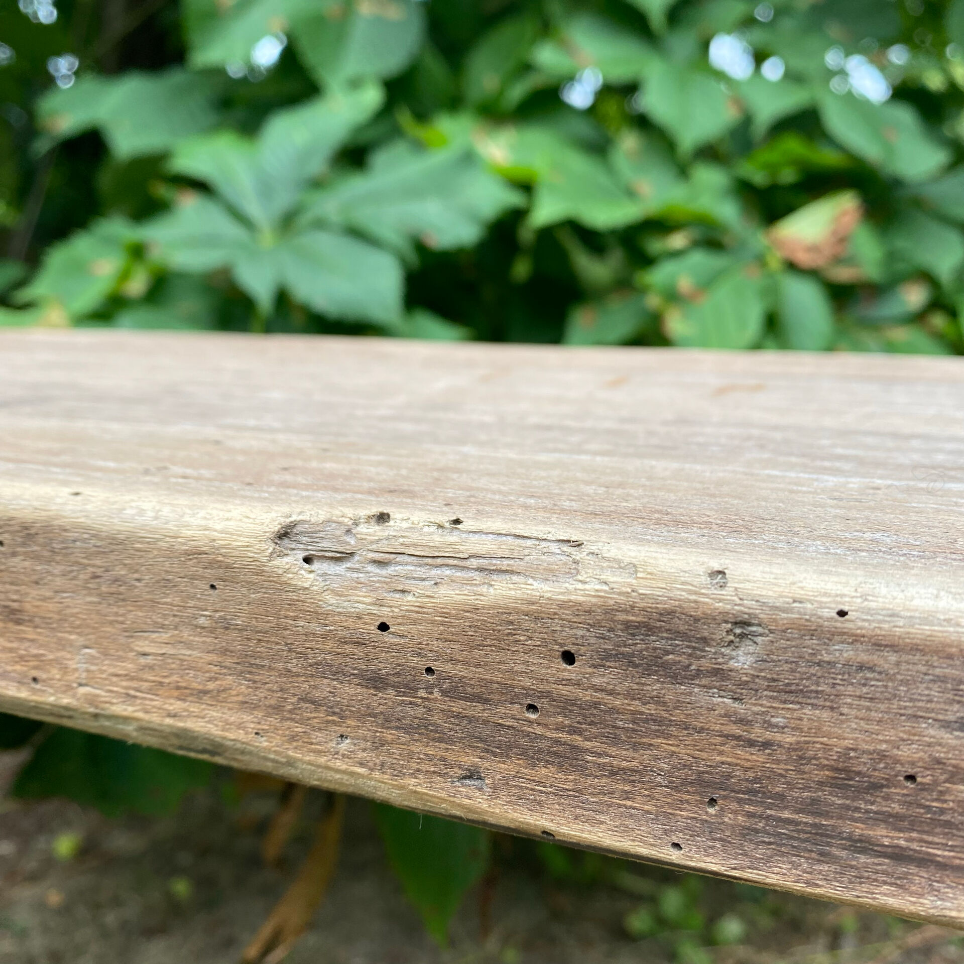 Old patinated farmhouse bench