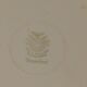 Large Villeroy Boch plate