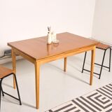 Vintage Scandinavian style dining table, side extensions