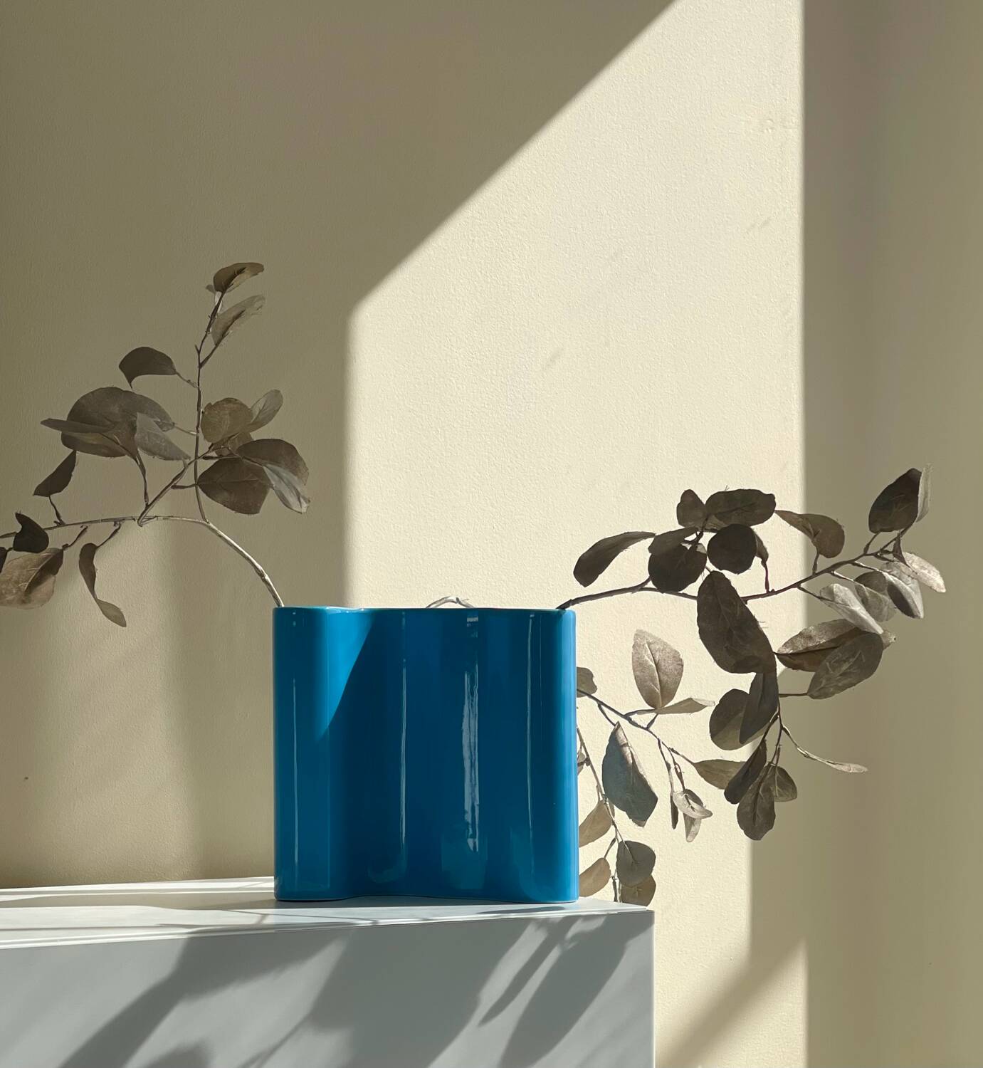 Biomorphic ceramic vase