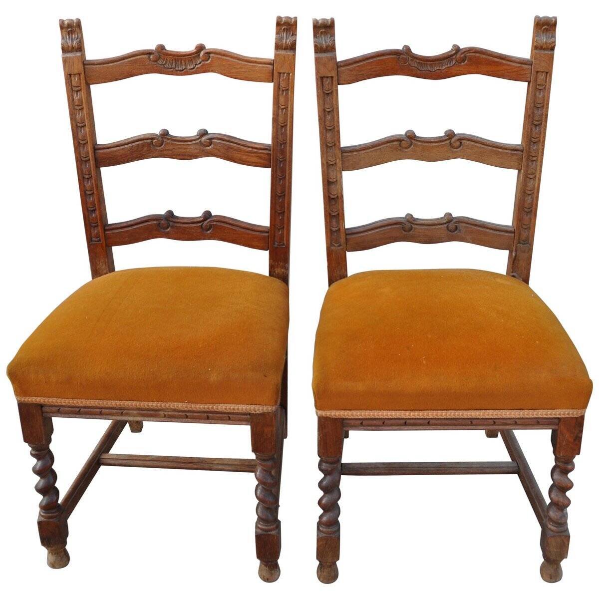 Pair of mid-century chairs from the 1950s in brown oak and straw yellow velvet — set of 2