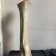 Vase Vallauris forme libre années 60-70