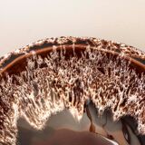 Empty cup pocket tripod Accolay