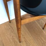 Set of 6 Pegasus chairs