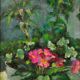 Diana maxwell's painting armfield b.1920. english. pink primulas & pot plants.