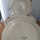 Hollow plates in Sarreguemines porcelain model 5049