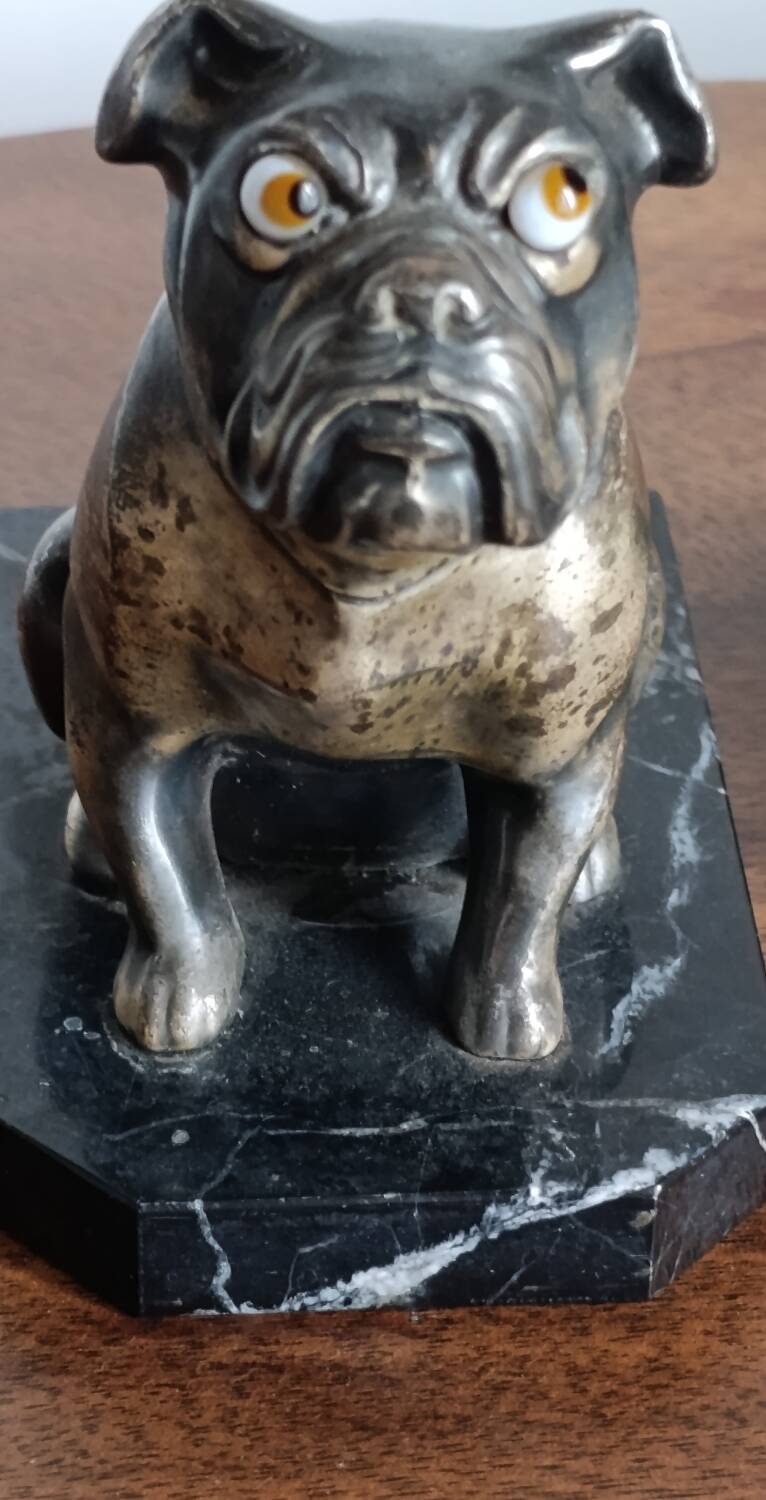 Delivered bulldogs from "Franjou"