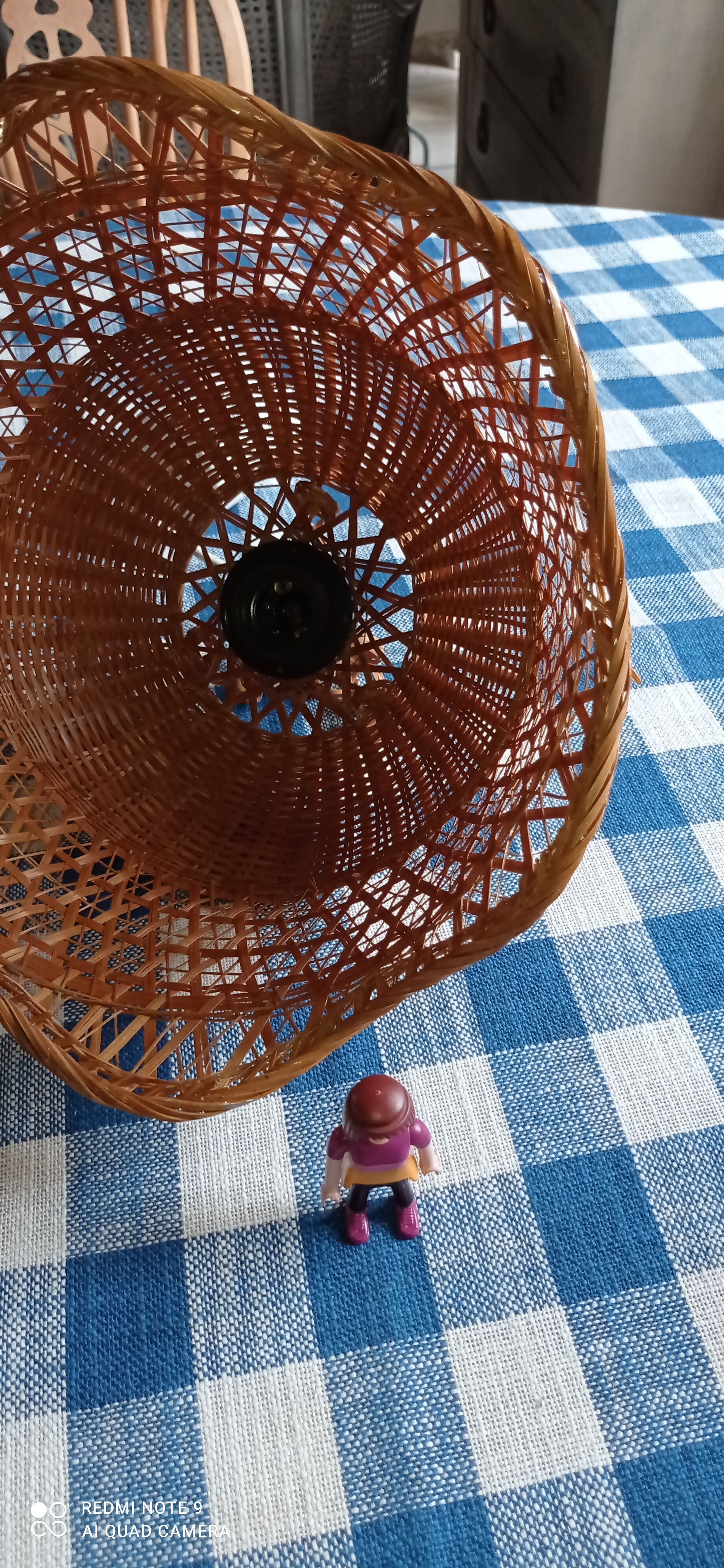 Rattan suspension