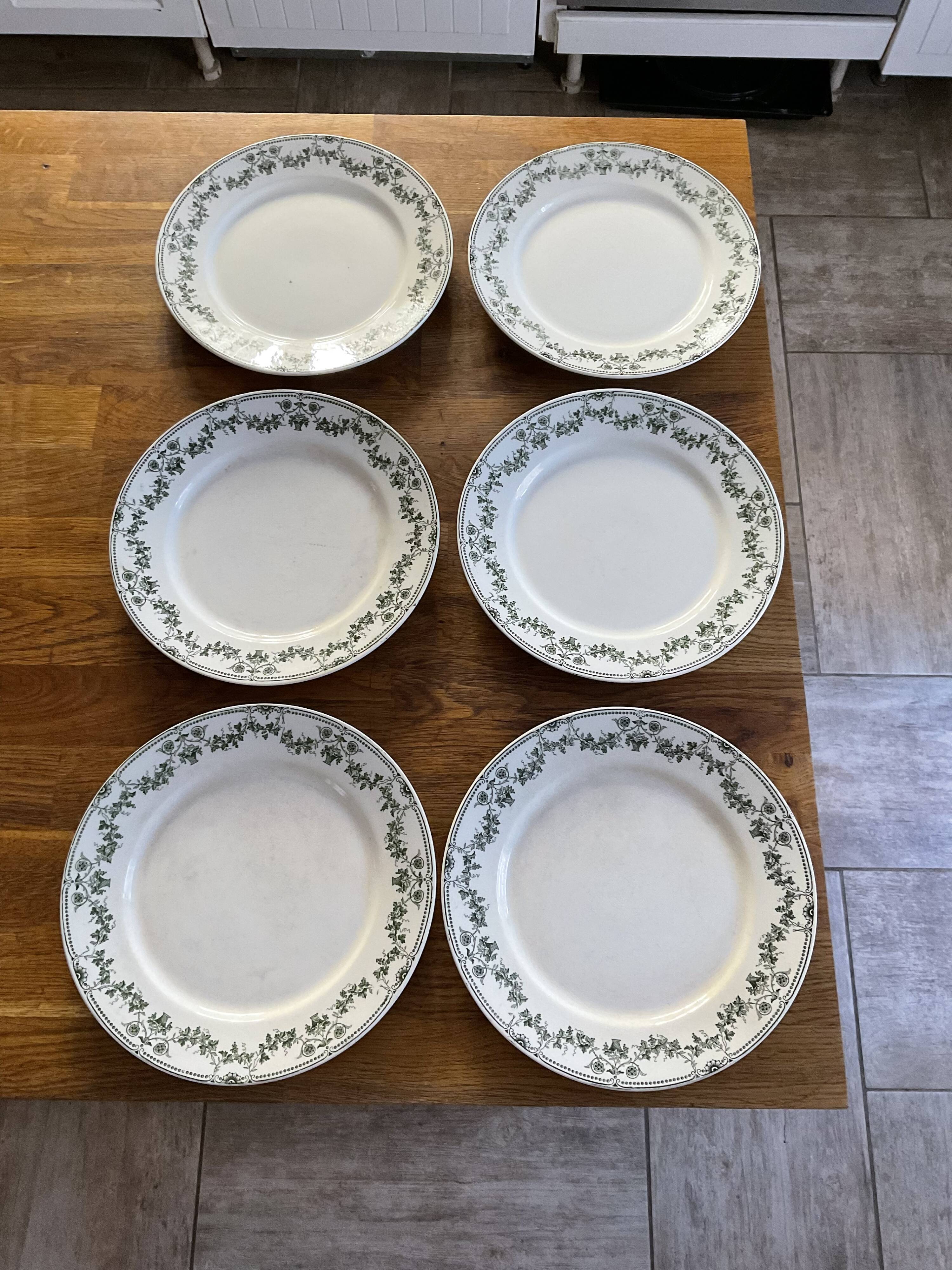 Set 6 flat plates badonviller model champagne