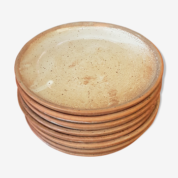 Sandstone plates