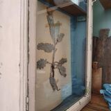 Display case in patinated wood, circa 1900