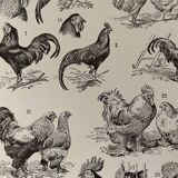 Lithograph on the rooster - 1930