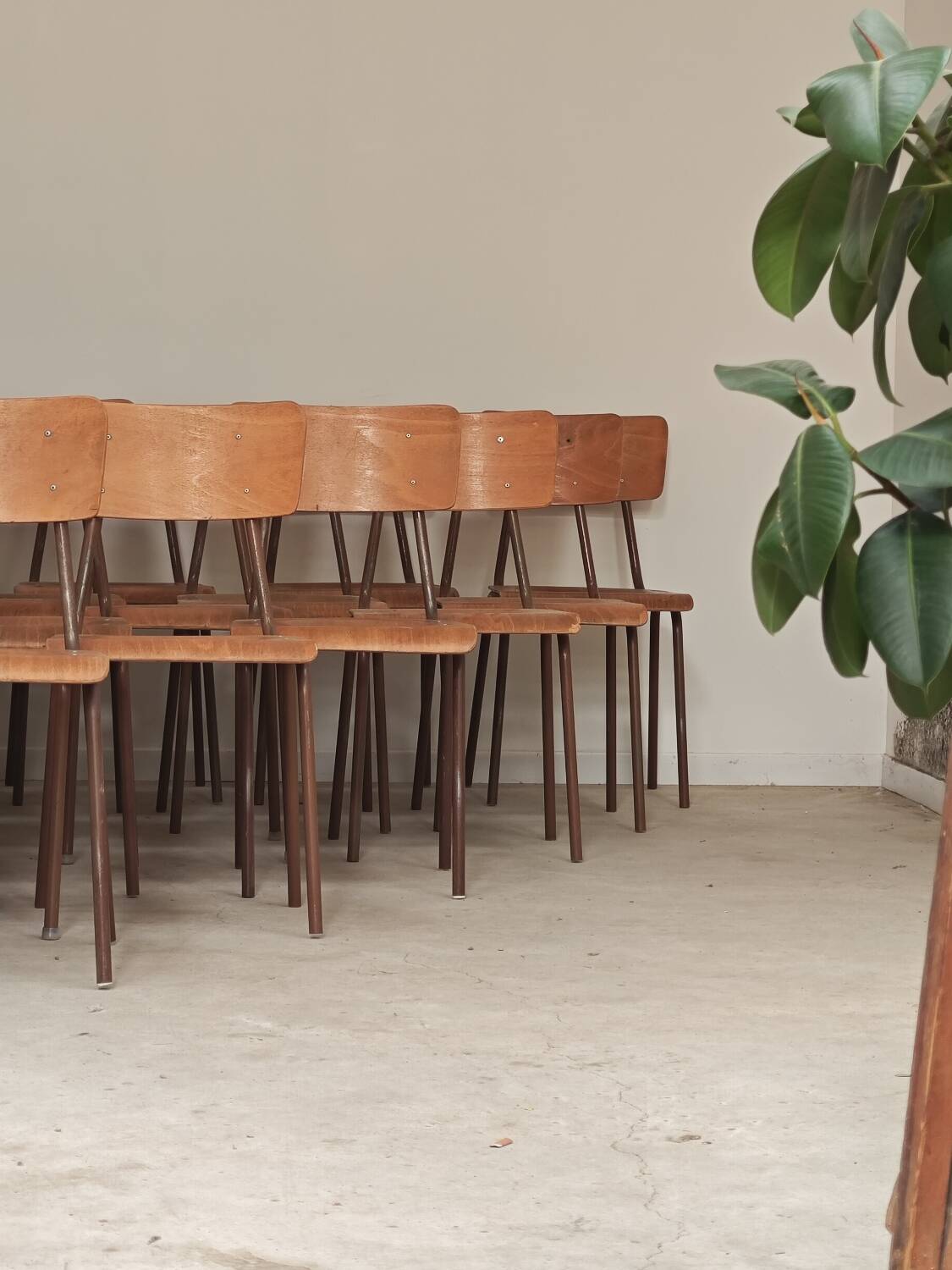 Lot de 35 chaises d'école tchèque Kovona style bistrot des