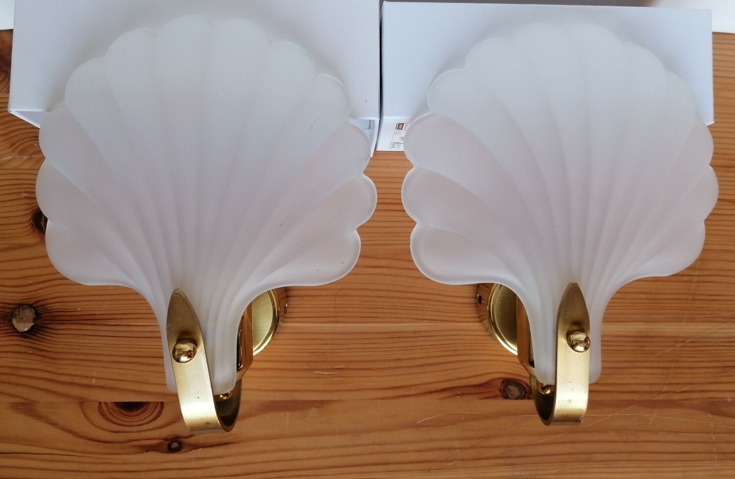 Pair of Deknudt shell wall lights