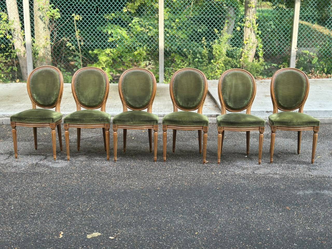 Set of 8 Louis XVI medallion chairs and armchairs in green velvet, 1950.