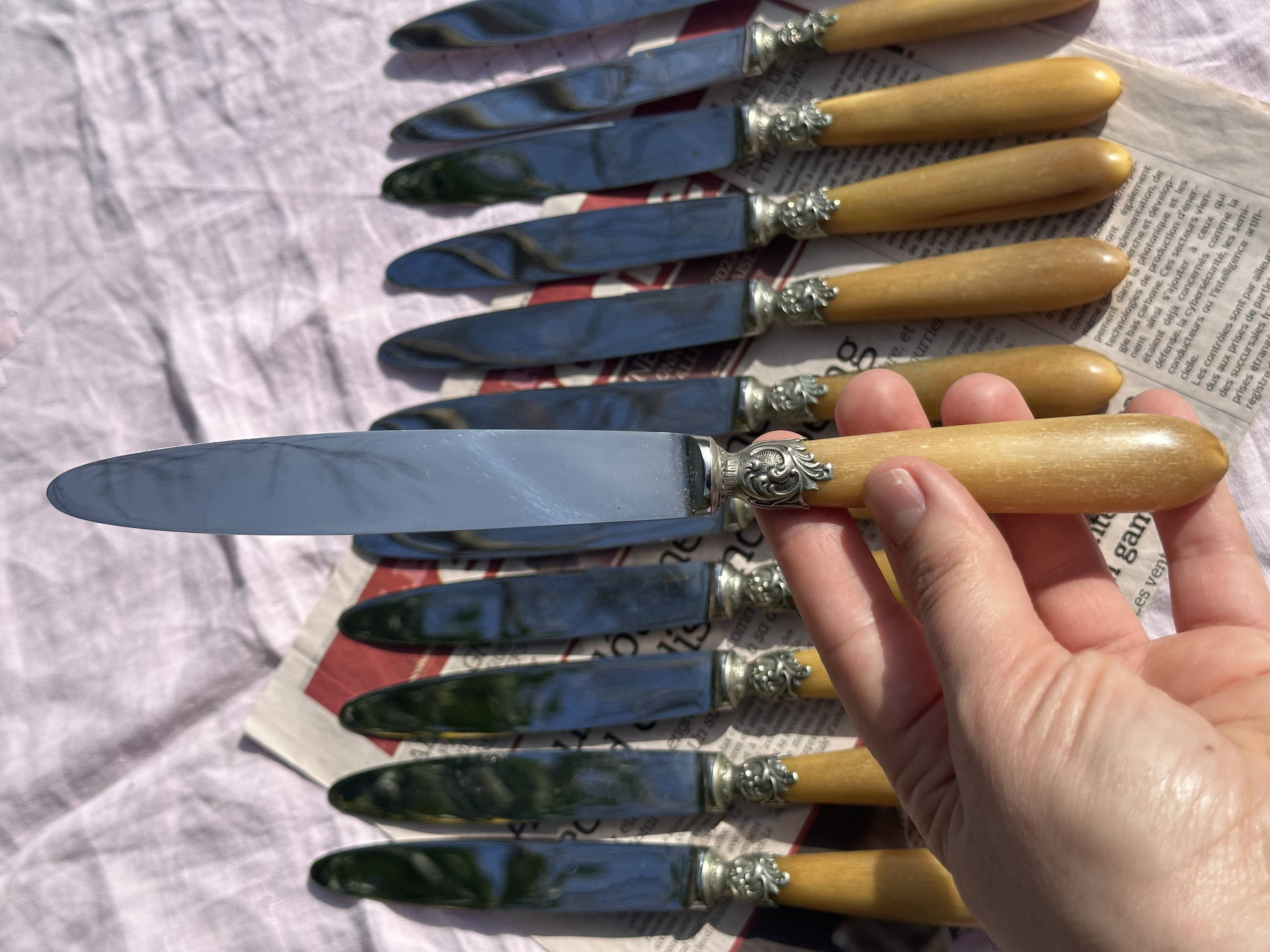 Set of 12 Antique Art Nouveau Table Knives - Tableware