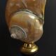 Cabinet de Curiosités coquillage turbo imperialis nacré sur socle