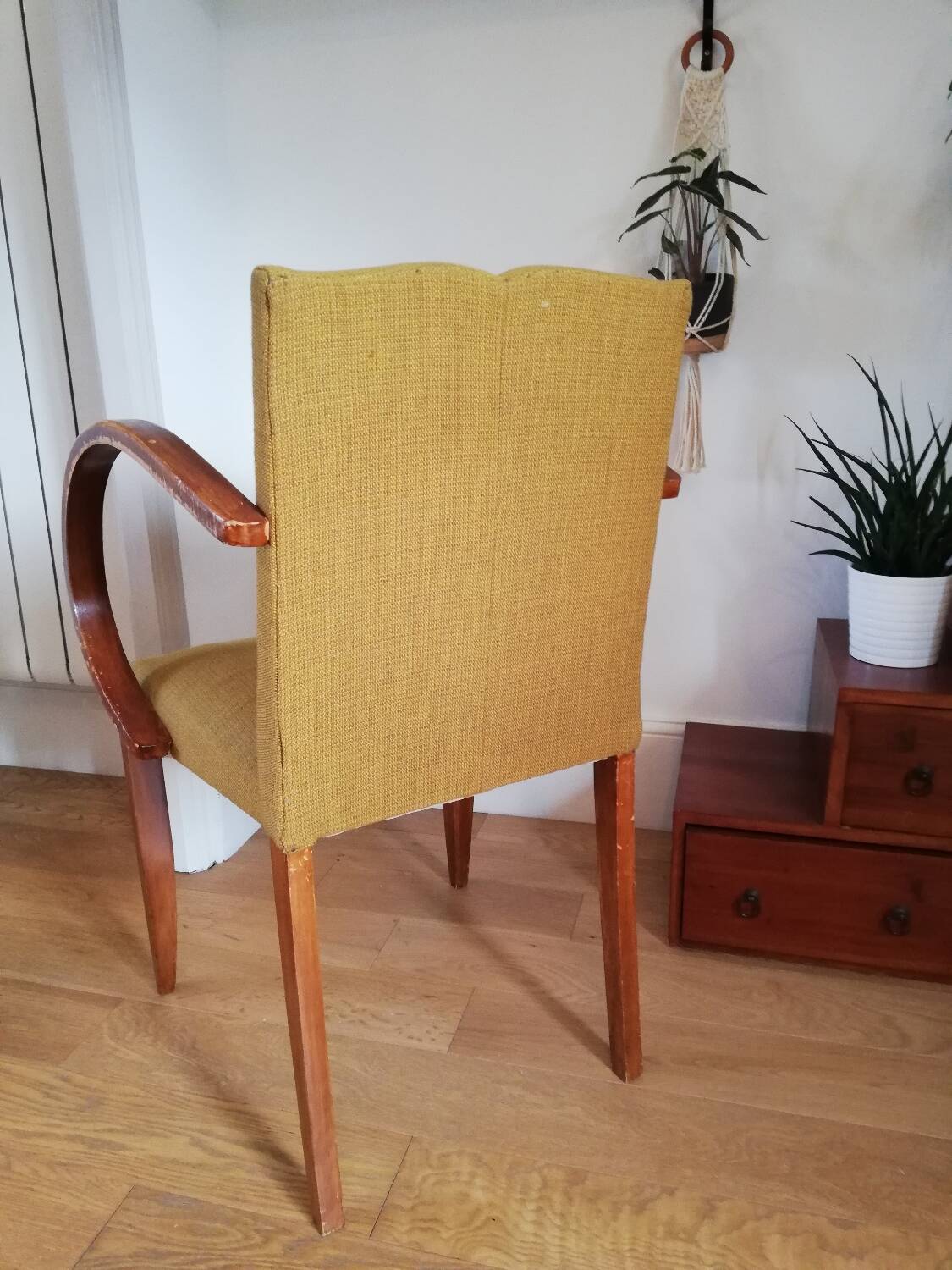 Bridge armchair with mustache back