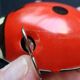 Mechanical ladybird toy