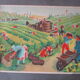 School pedagogical poster ancienne-les vendanges