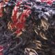 Vintage Beni M'Guild Collectible Rug - 323 x 206 cm