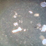 Trinket bowl in raku-yaki