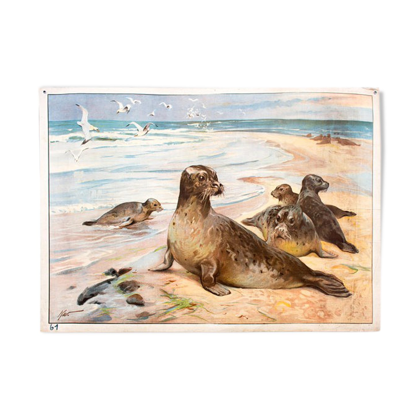 Educational Grid Poster 1891